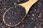 32514530-Closeup-of-raw-purple-Riceberry-rice-it-is-a-crossbred-between-Thai-Hom-Nil-black-jasmine-rice-and-w-Stock-Photo