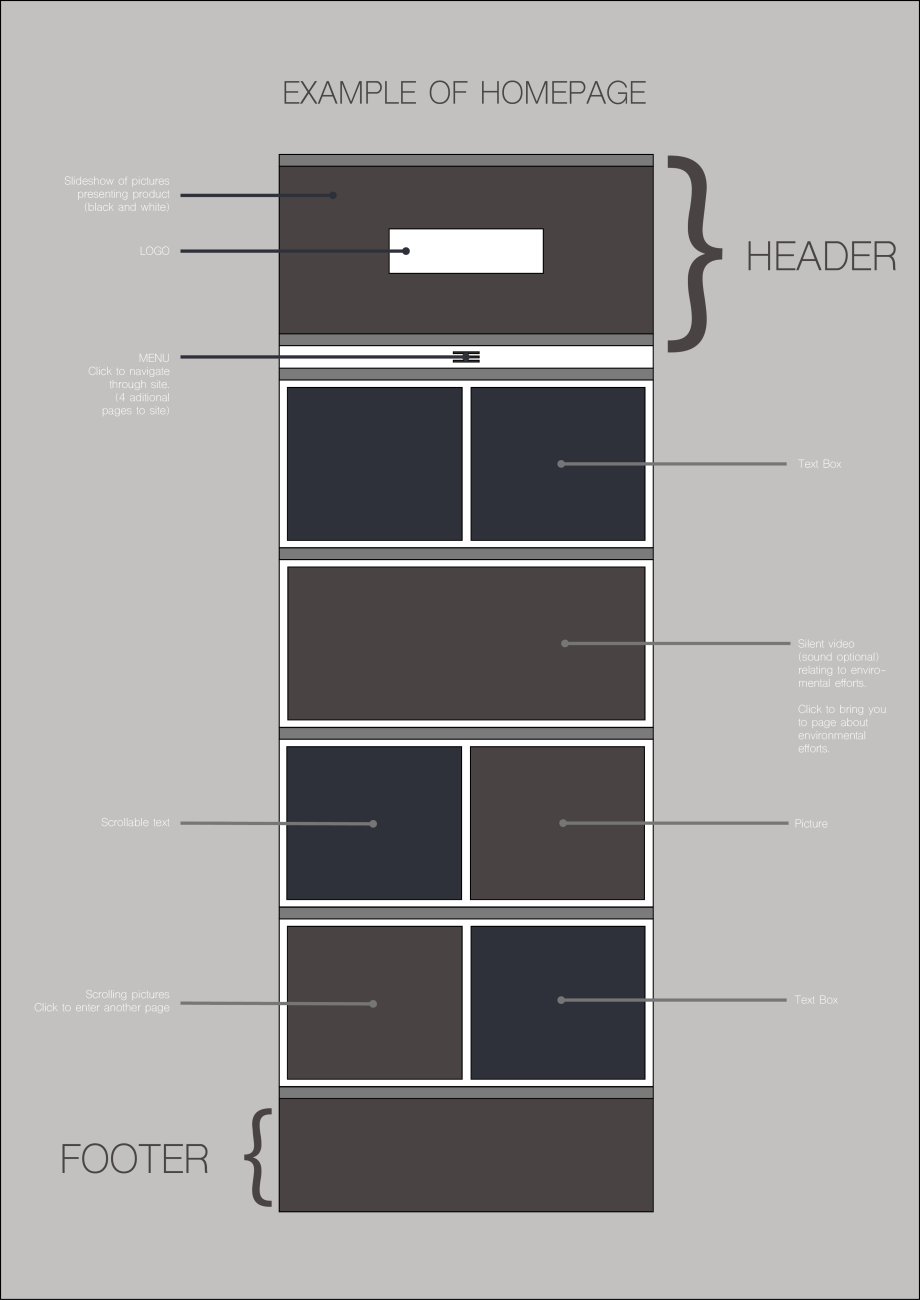 Wireframe Homepage details.png